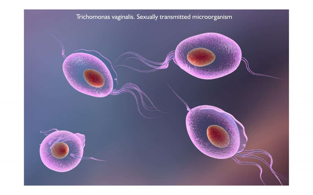 Mikroorganismen als Verursacher der Krebskrankheit